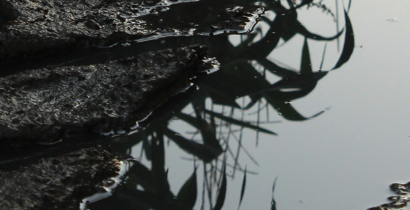 Dränkbara Pumpar & Lerpumpar