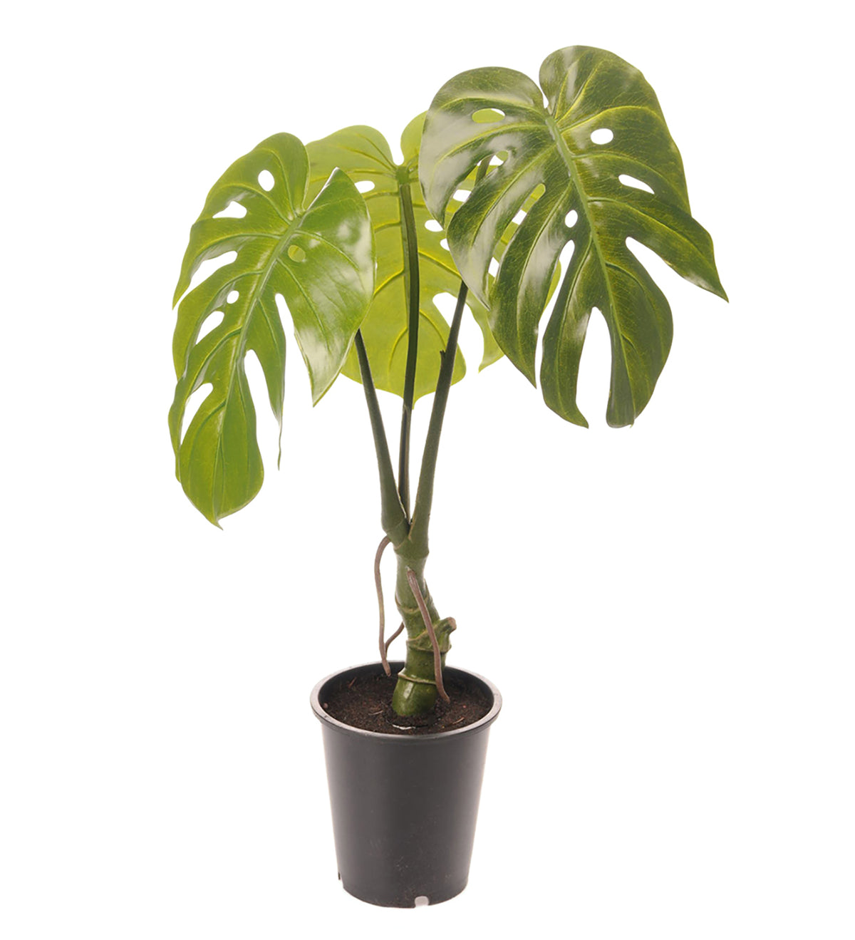 Kunstig plante Monstera