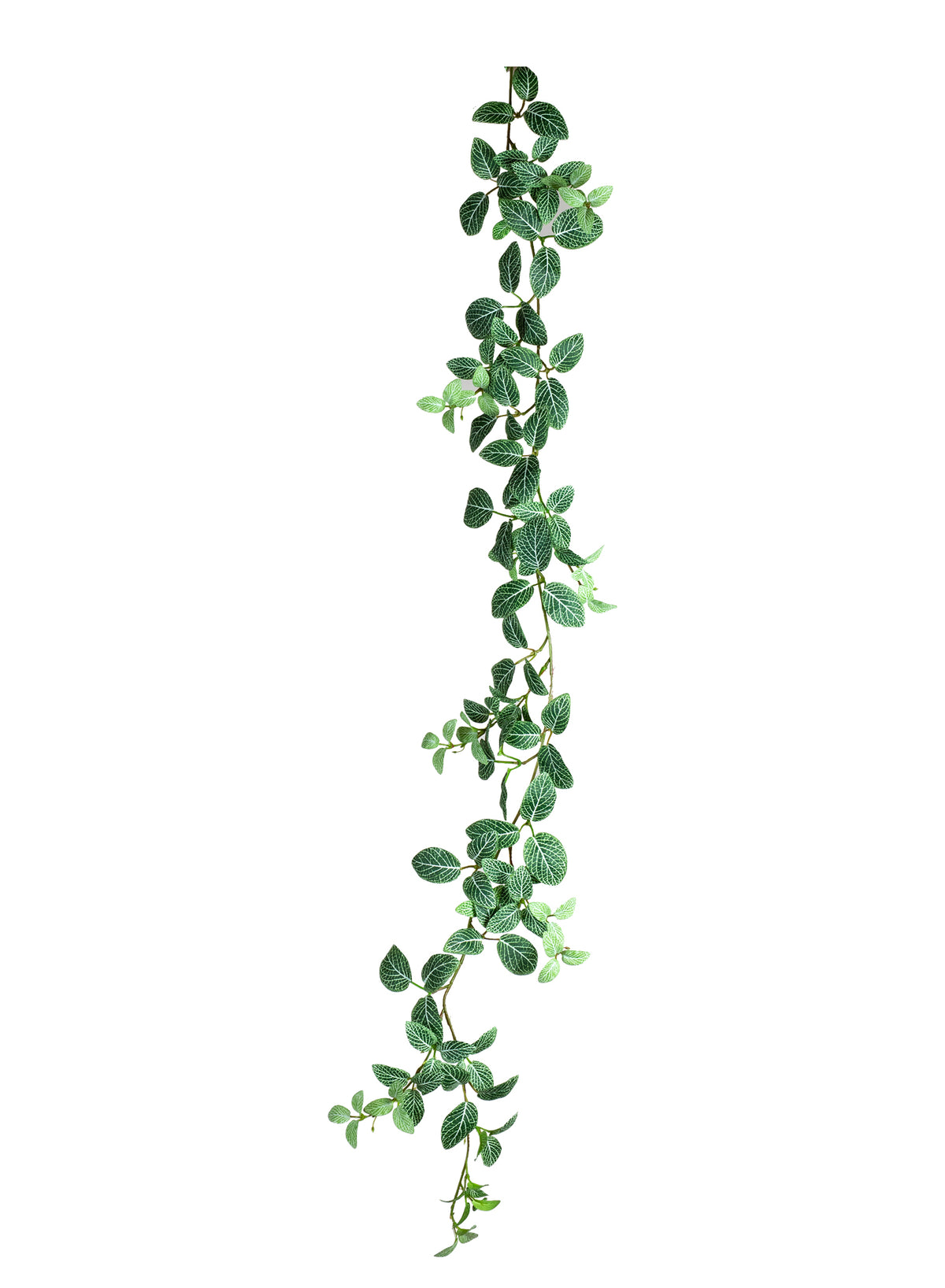 Kunstig Fittonia plantegirlande