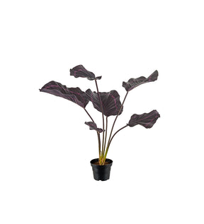 Kunstig plante Calathea