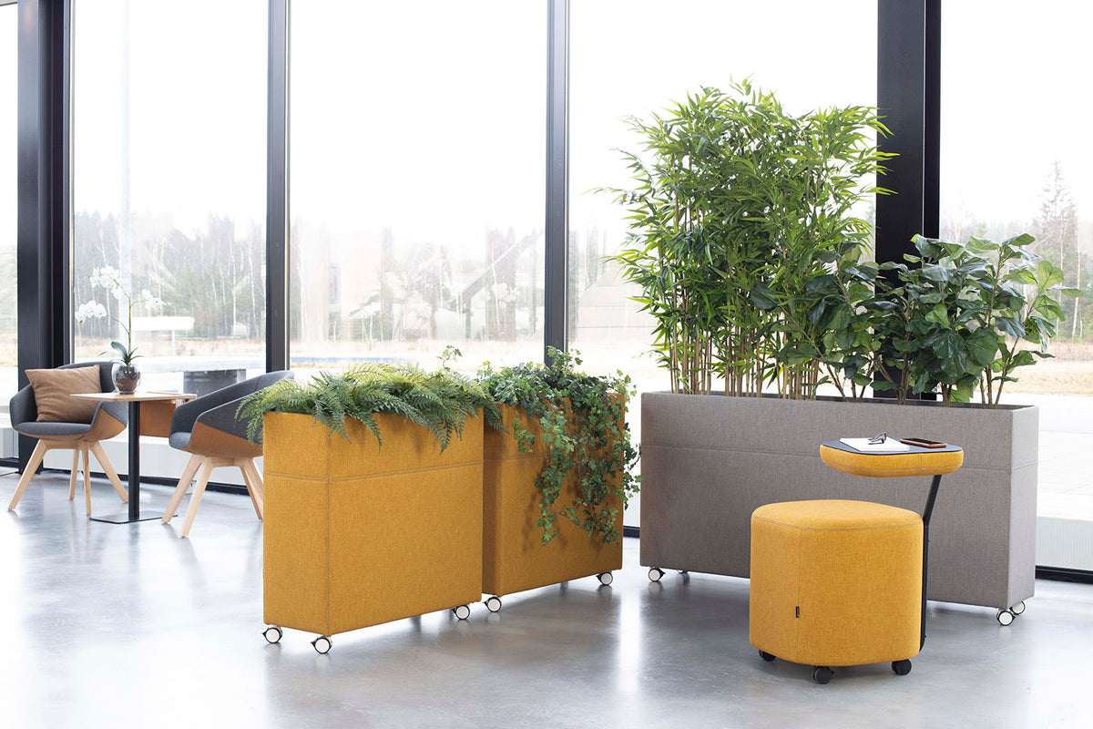 plant-divider