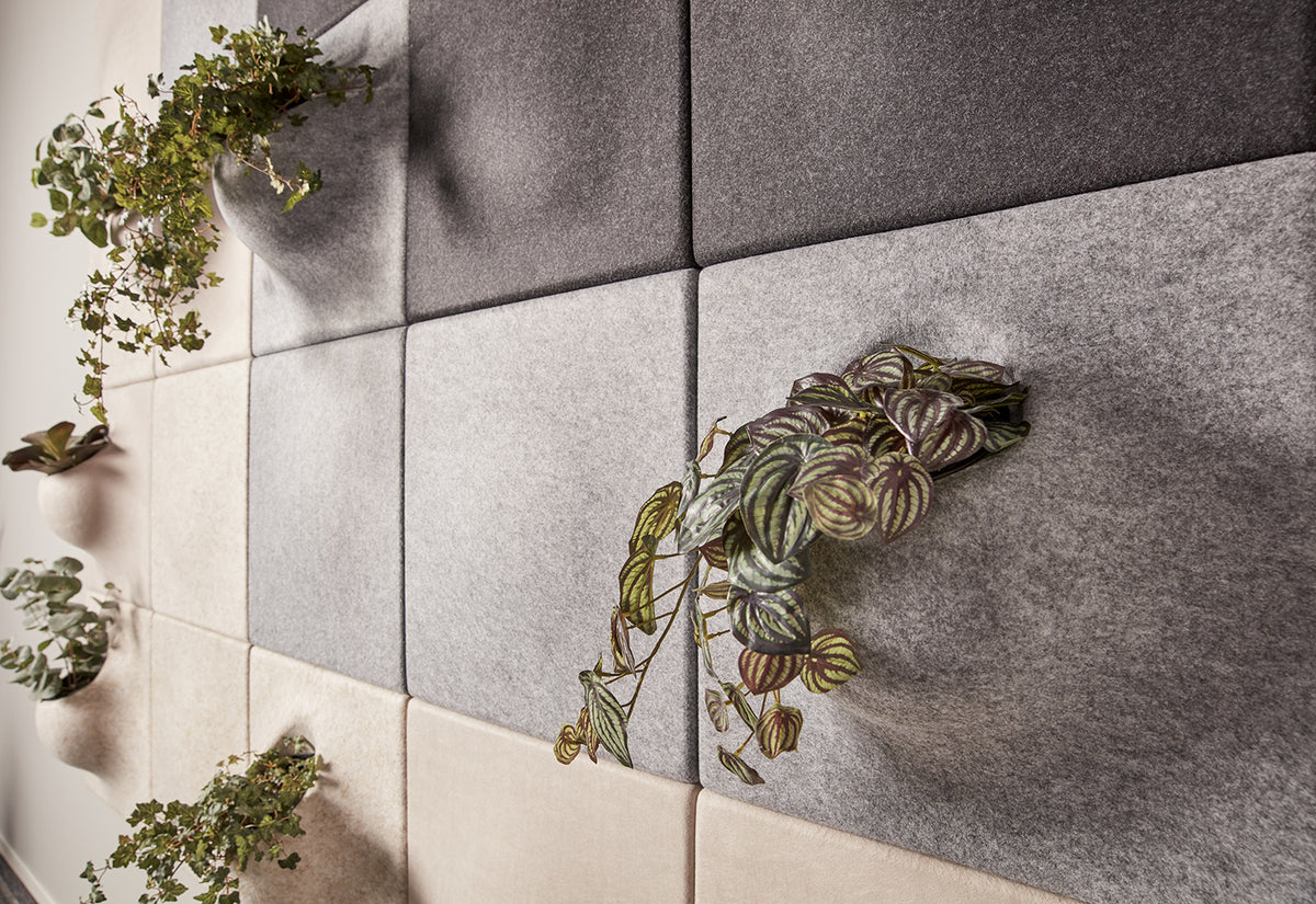 närbild på plantpanel med kostväxter i
