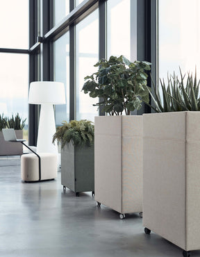 plant-divider