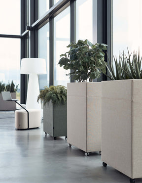 plant-divider