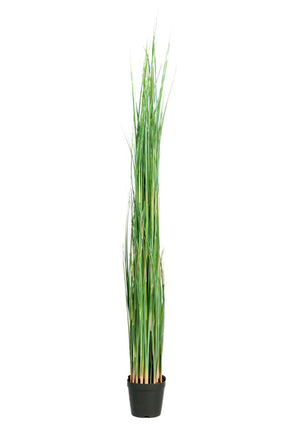 Kunstplante gress | Flere størrelser