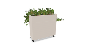 Romdeler Plant Divider Small